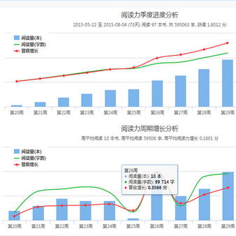 进度分析